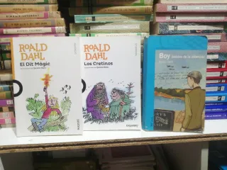 Libros de lectura Joanoteca Primaria ESO 4 o 5€