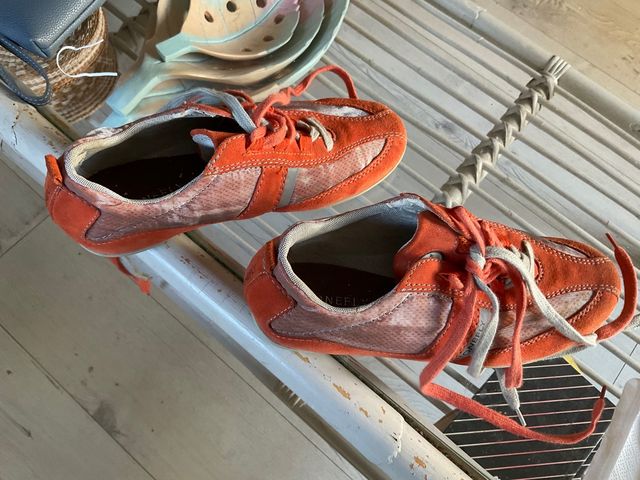 BAMBAS  o Sneaker STONEFLY SIN ESTRENAR