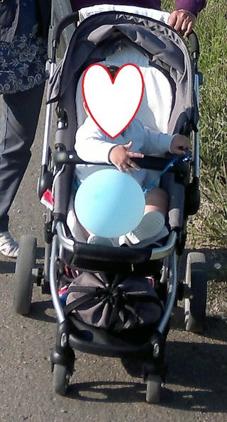 Coche Trío marca BabyWelt modelo Jong