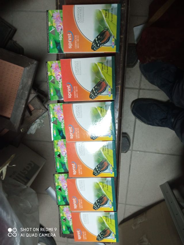 inchiostro per epson 1900