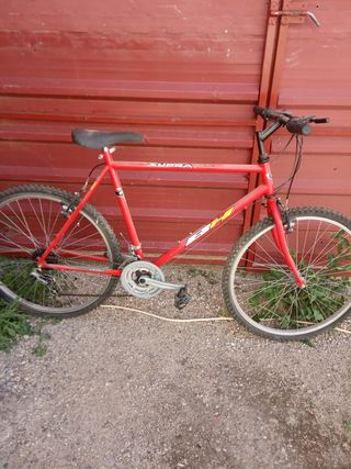 Bicicleta de montaña