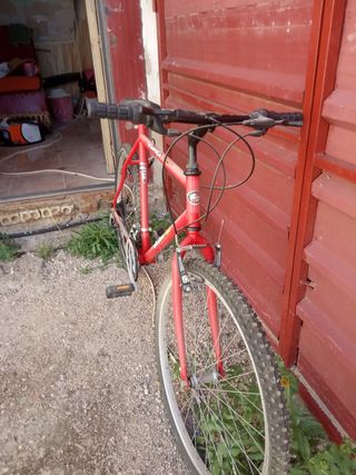 Bicicleta de montaña