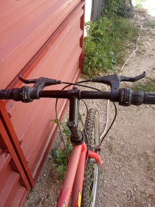 Bicicleta de montaña