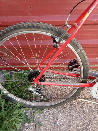 Bicicleta de montaña