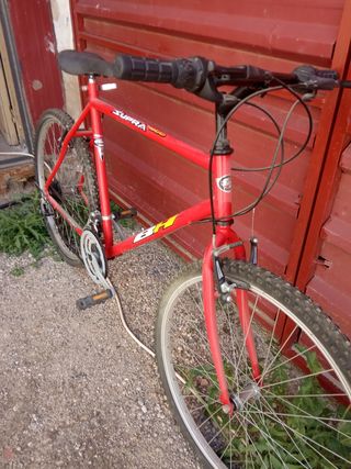 Bicicleta de montaña