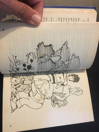 EL FANTASMA DE LA CARRETERA. Stefan Wolf.