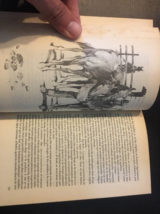 MI AMIGA FLICKA. Mary O´Hara.