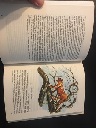 TARZÁN DE LOS MONOS. Edgar Rice Burroughs