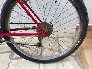 Dynasty free spirit bike 930 se