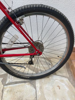 Dynasty free spirit bike 930 se