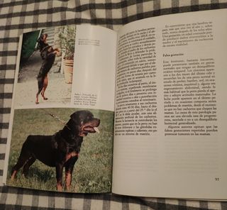 Libro del Rottweiler