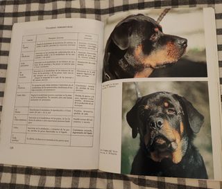 Libro del Rottweiler