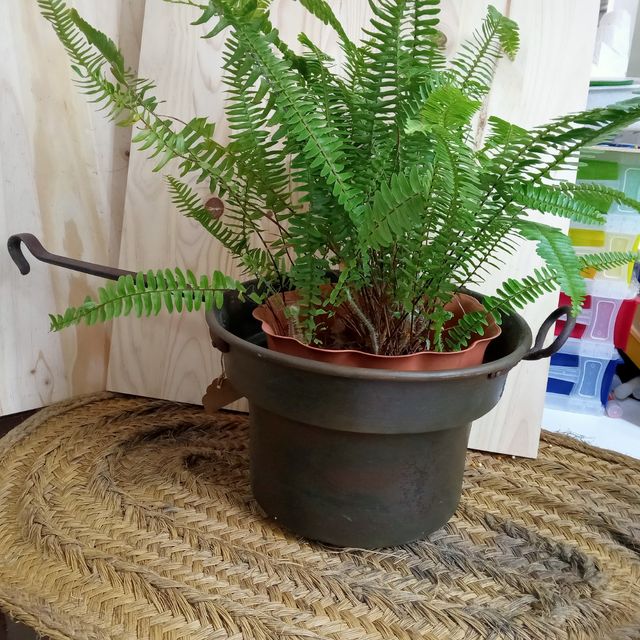 Caldero antiguo de cobre