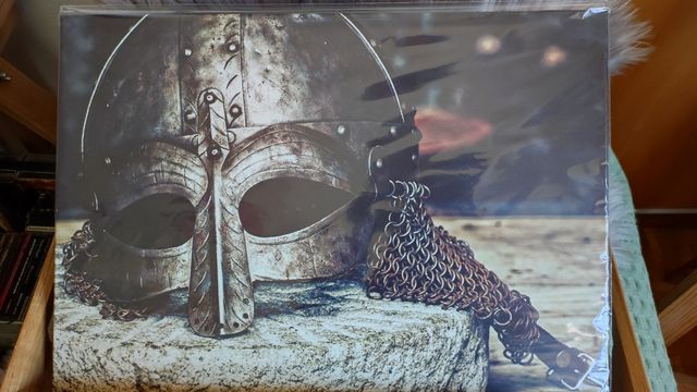 póster displate vikingos