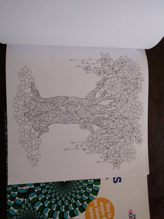 Libros de colorear para adultos. 2 unidades