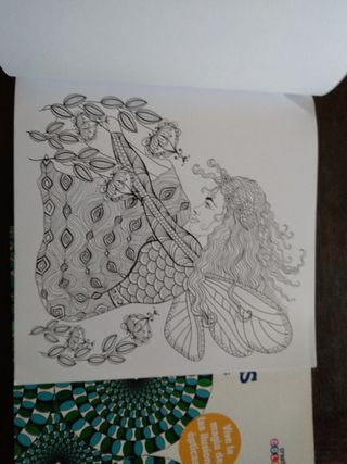Libros de colorear para adultos. 2 unidades
