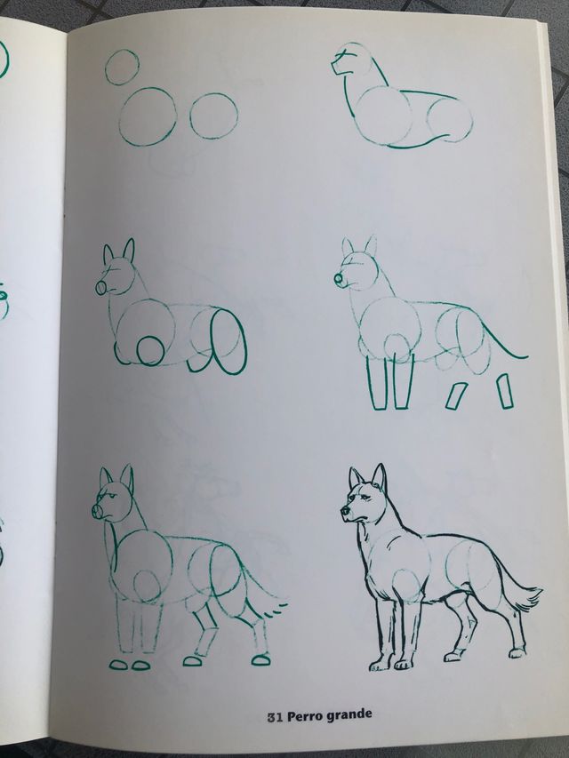 50 DIBUJOS DE ANIMALES. Perfecto estado