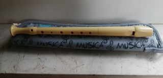 Flauta dulce con estuche 