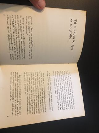 UN GRILLO DEL AÑO DOS MIL Y PICO. Ramón García