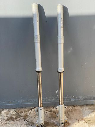 Suspension Horquillas Motogac Winner