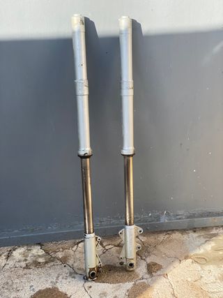 Suspension Horquillas Motogac Winner