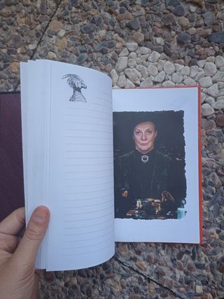 Diario misterio Harry Potter