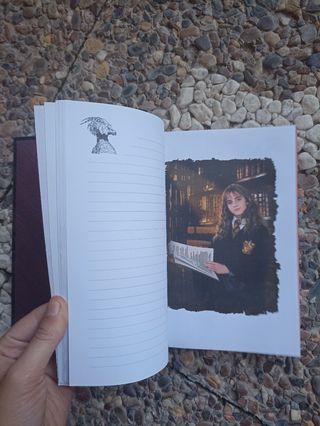 Diario misterio Harry Potter