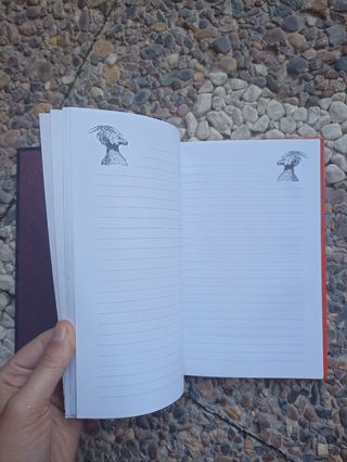 Diario misterio Harry Potter