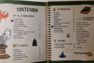 Libro no oficial de los fans Harry Potter + figura