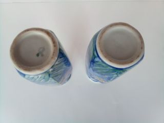 Pareja de jarrones estilo con hermoso dibujo flora