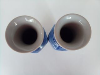 Pareja de jarrones estilo con hermoso dibujo flora