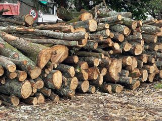 Decespugliatori a mano e con trattore.