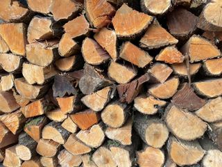 Decespugliatori a mano e con trattore.