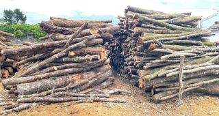 Decespugliatori a mano e con trattore.