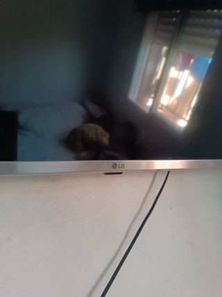 Televisor SmartTv LG 43 pulgadas