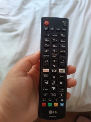 Televisor SmartTv LG 43 pulgadas