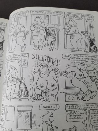 lote pendones del humor