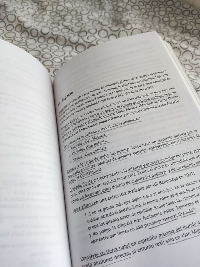 Estudio crítico del Romancero gitano. Lorca.