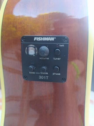 Guitarra acústica Washburn