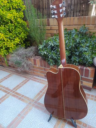 Guitarra acústica Washburn