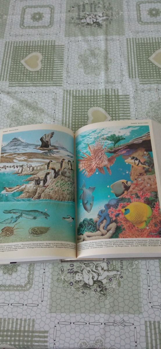 vocabolario lingua italiana