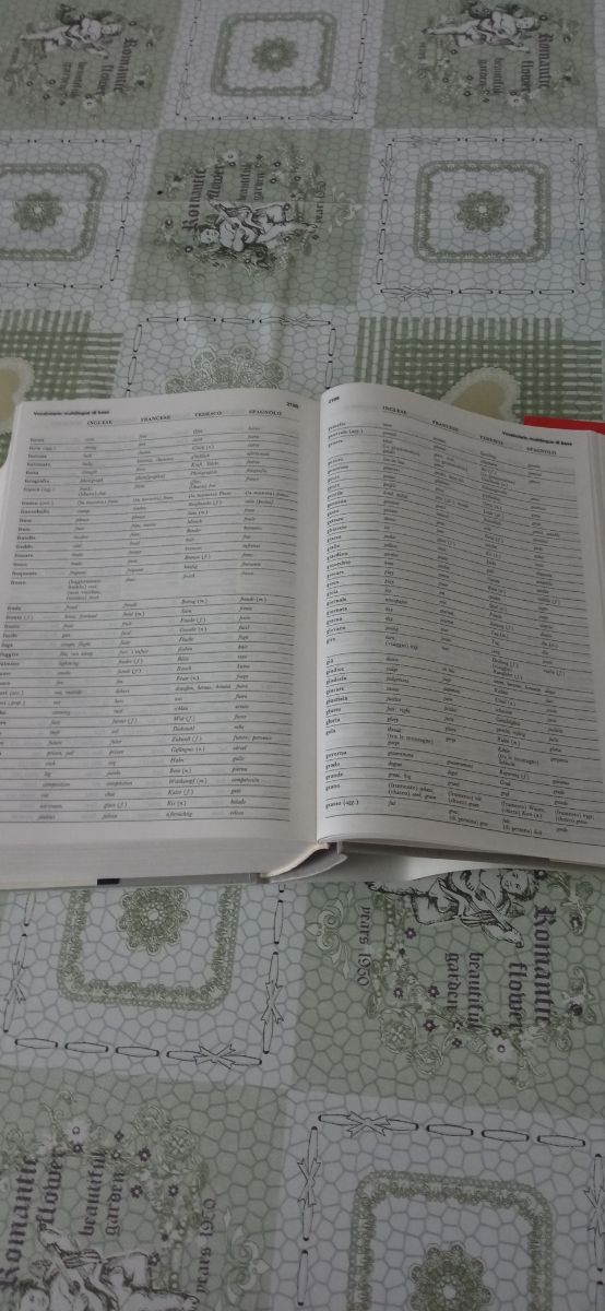 vocabolario lingua italiana