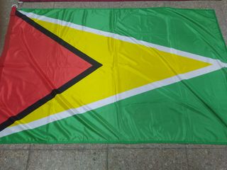 bandera Guyana