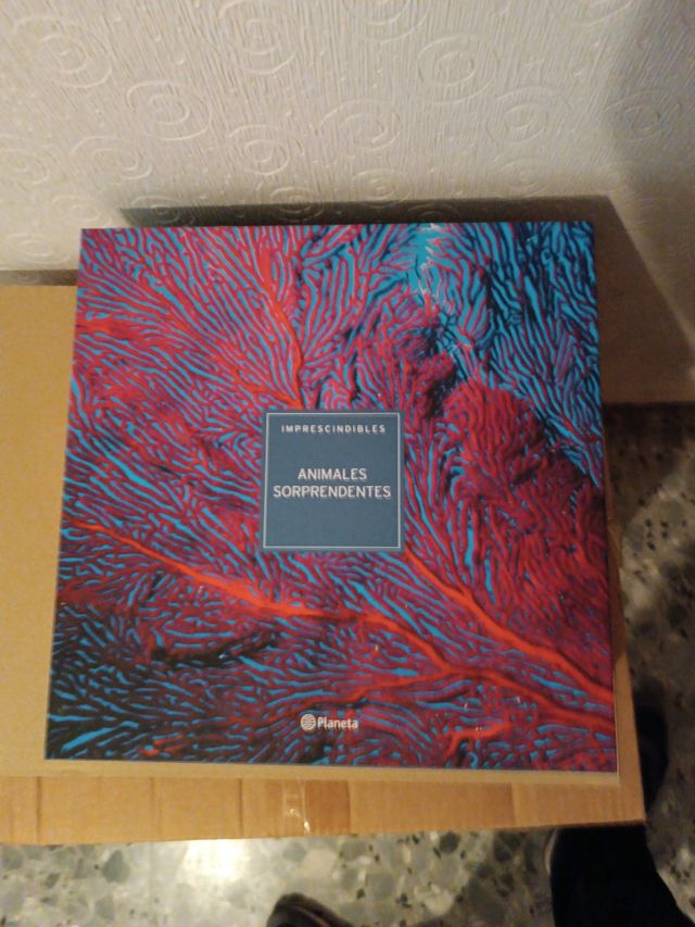 Animales sorprendentes edición planeta