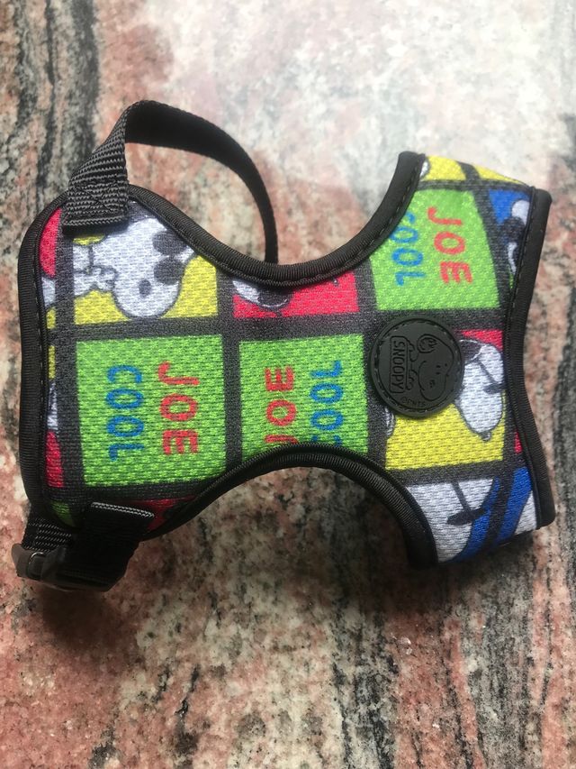 DUE nuove imbracature» scooby doo