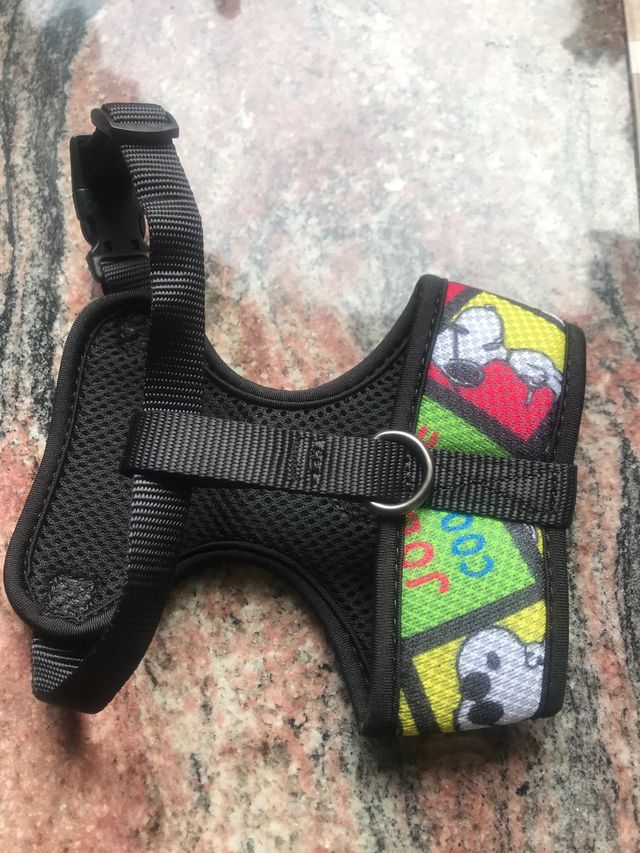 DUE nuove imbracature» scooby doo