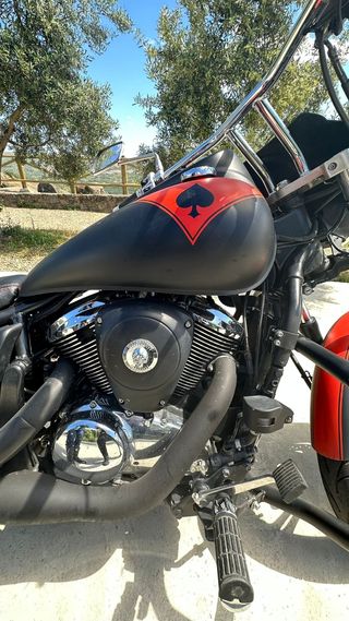 Kawasaki VN 900 Custom