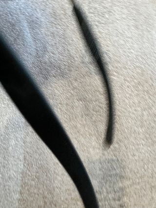 Occhiali da sole uomo AS Roma official