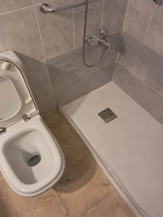 Pintor paleta el precio depende.