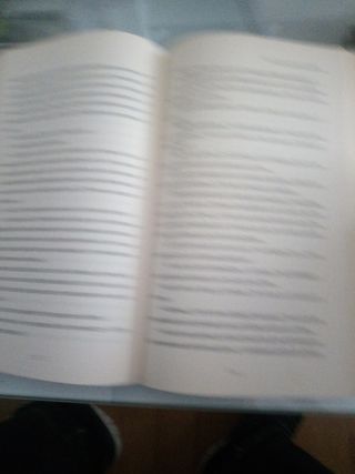 Quiero ser tu persona favorita